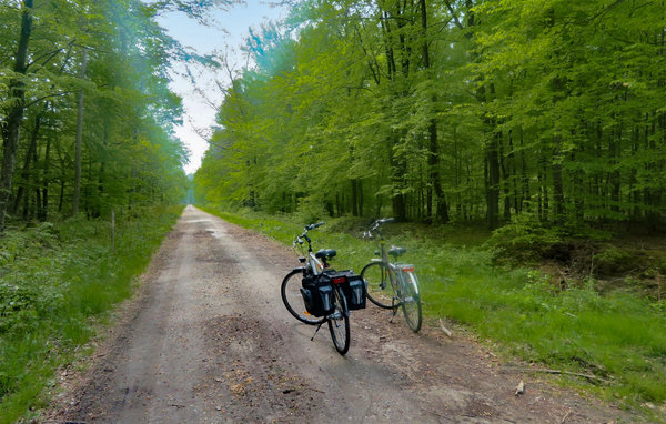 Feriehuse - Jezyce , Polen - PPL009 906