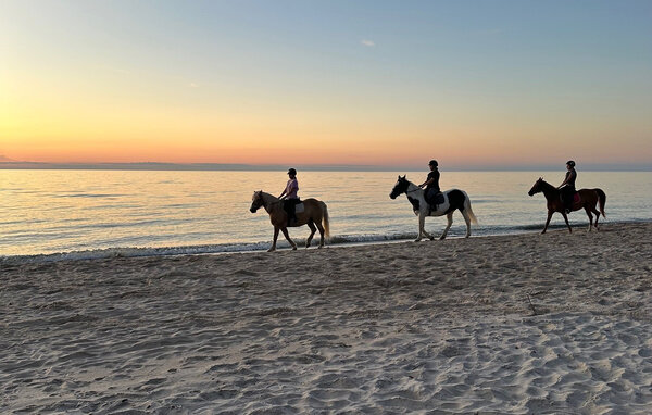 Domy wakacyjne - Ustronie Morskie , Polska - PPL178 905