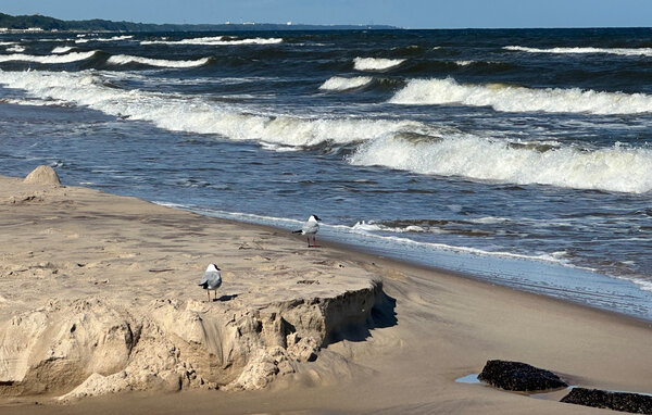 Casa vacanze - Ustronie Morskie , Polonia - PPL179 902