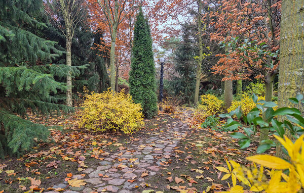 Semesterlägenhet - Obryta , Polen - PPL305 103