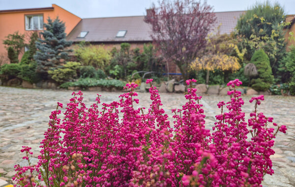 Semesterlägenhet - Obryta , Polen - PPL305 104