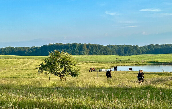 Domy wakacyjne - Sianow , Polska - PPL344 9