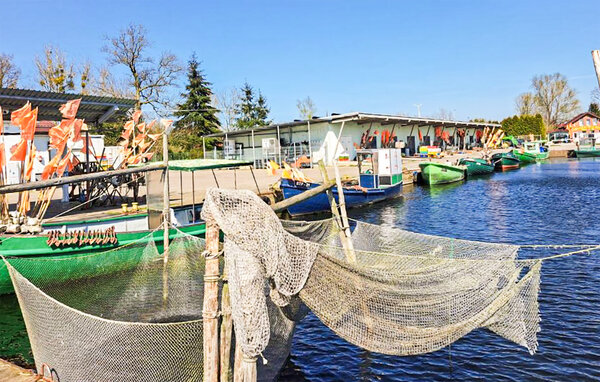 Feriehus - Stepnica , Polen - PPL371 903