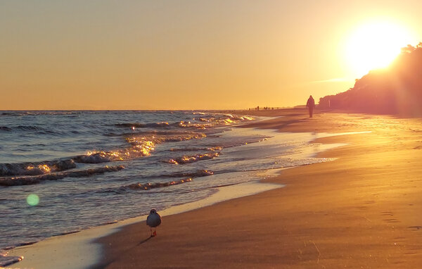 Domy wakacyjne - Rewal , Polska - PPL391 901