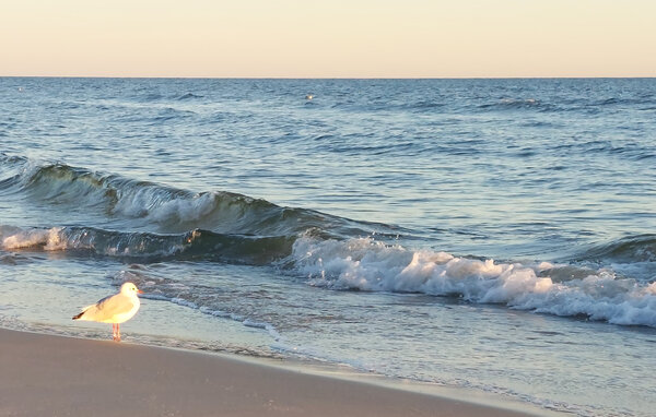 Domy wakacyjne - Rewal , Polska - PPL391 902