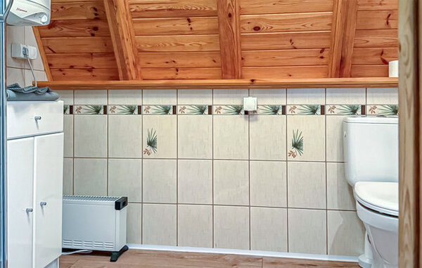 Domy wakacyjne - Dominikowo , Polska - PPL393 701