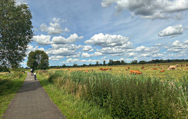 Location de vacances - Stolec , Pologne - PPL398 801