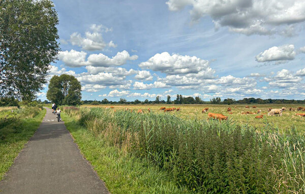 Domy wakacyjne - Stolec , Polska - PPL399 902