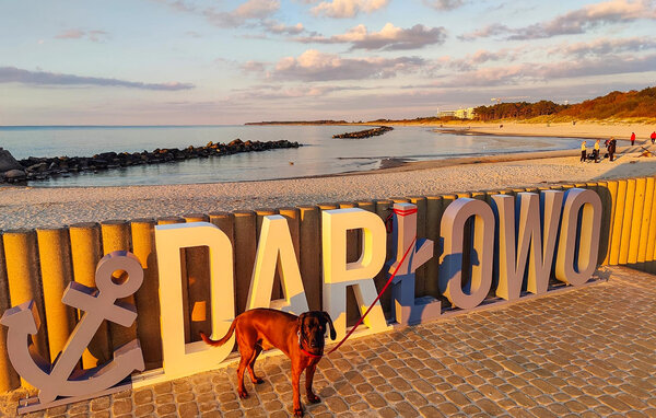 Domy wakacyjne - Darlowo , Polska - PPL420 904