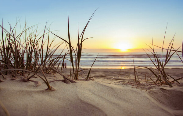 Domy wakacyjne - Sianozéty , Polska - PPL431 901