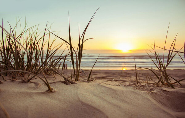 Domy wakacyjne - Sianozety , Polska - PPL437 901