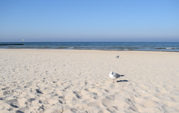 Domy wakacyjne - Gaski , Polska - PPL516 902