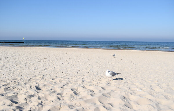 Domy wakacyjne - Gaski , Polska - PPL517 901