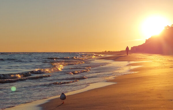 Domy wakacyjne - Gaski , Polska - PPL599 901