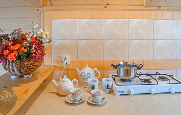 Domy wakacyjne - Gaski , Polska - PPL610 8