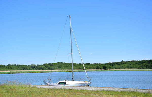 Domy wakacyjne - Nowe Warpno , Polska - PPL703 902