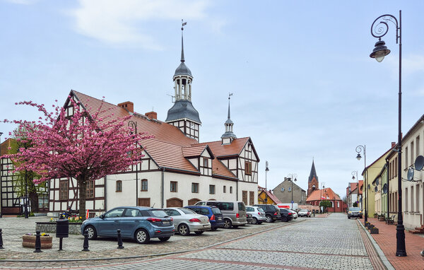 Domy wakacyjne - Nowe Warpno , Polska - PPL703 905