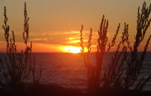 Domy wakacyjne - Osieki , Polska - PPL758 902