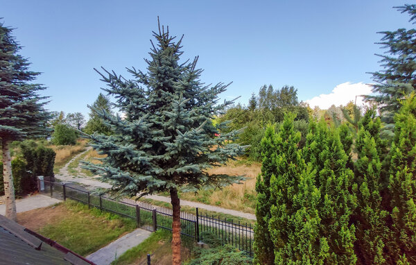 Domy wakacyjne - Osieki , Polska - PPL758 201