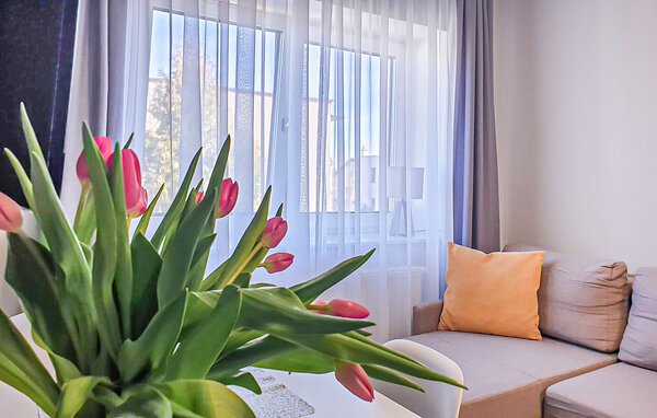 Apartament - Leba , Polska - PPL880 3