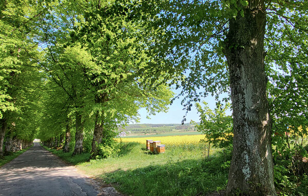 Domy wakacyjne - Nawcz , Polska - PPL905 901