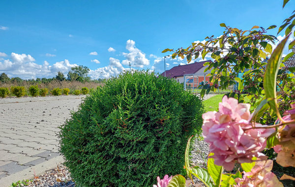 Holiday Home - Bedzino , Poland - PPO052 101