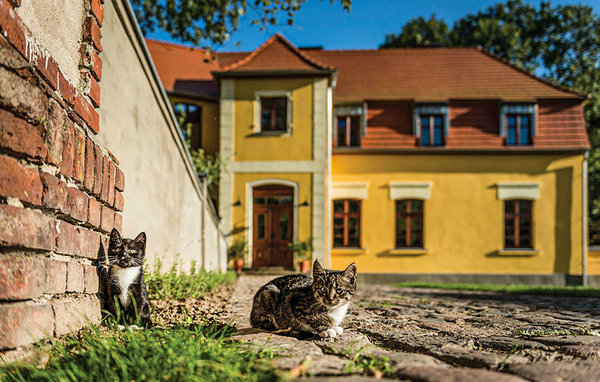 Ferienhaus 