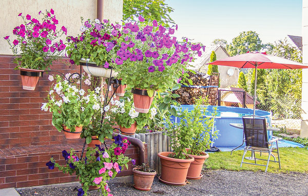 Ferienhaus - Darlowo , Polen - PPO293 2