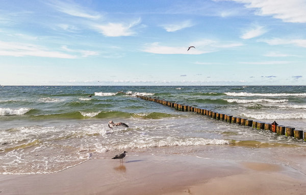 Domy wakacyjne - Ustka , Polska - PPO766 901