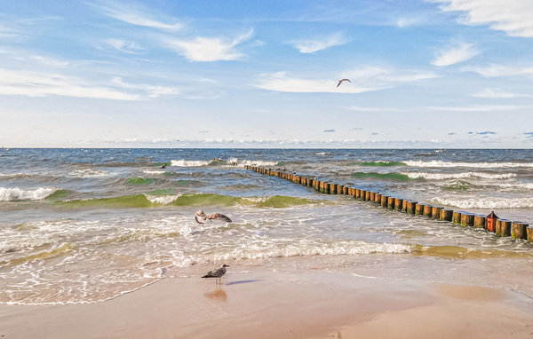 Domy wakacyjne - Ustka , Polska - PPO788 901