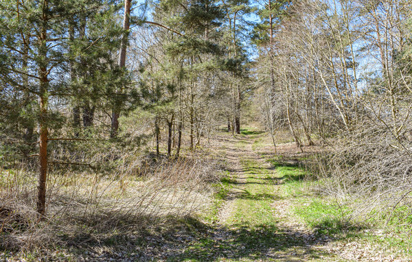 Domy wakacyjne - Sianow , Polska - PPO790 906
