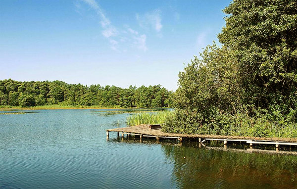 Semesterhus - Kopalino , Polen - PPO873 8