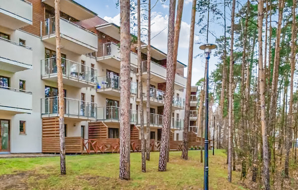 Apartment - Stegna , Poland - PPO950 103
