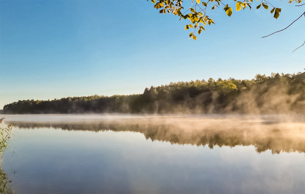 Apartment - Moryn , Poland - PPO976 4