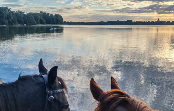 Apartment - Moryn , Poland - PPO976 901