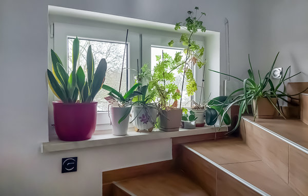 Apartment - Moryn , Poland - PPO976 501