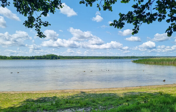 Vakantiehuis - Matyldów , Polen - PPS120 6
