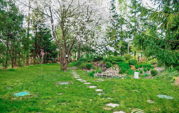 Kuća-za-odmor - Deszkowice Drugie , Poljska - PPS600 102