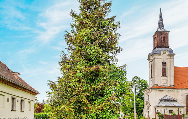Domy wakacyjne - Palck , Polska - PPW129 101