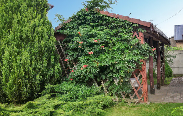 Ferienhaus - Parzensko , Polen - PPW137 103