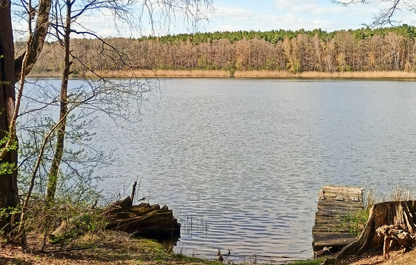 Kuća-za-odmor - Wilcze , Poljska - PPW144 901