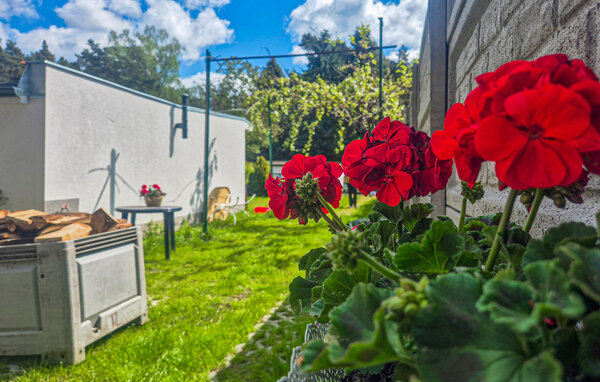 Feriehus - Boruja , Polen - PPW203 101