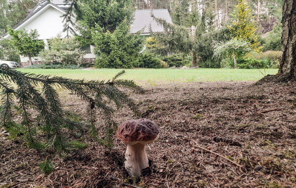 Kuća-za-odmor - Rybakowo , Poljska - PPW451 102