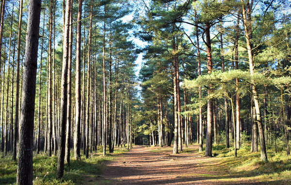 Apartament - Rowy , Polska - PRO910 6