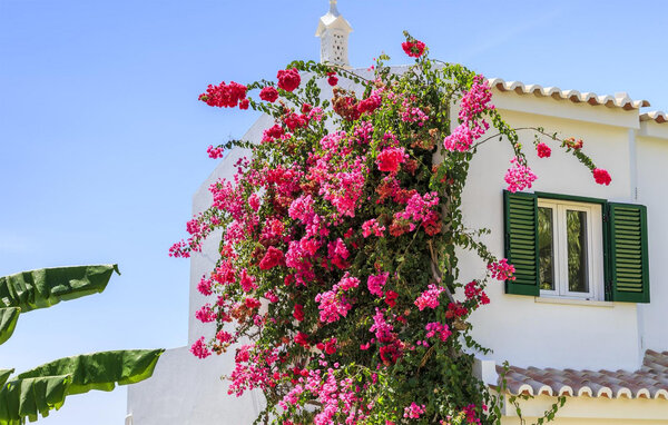 Feriehuse - Quinta do Lago , Portugal - PTS164 903