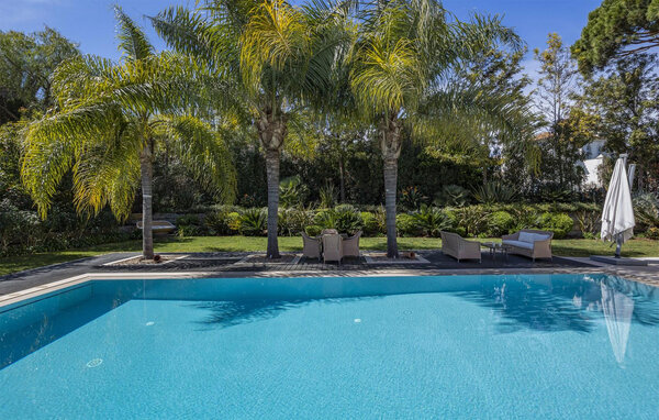 Domy wakacyjne - Algarve , Portugalia - PTS212 904