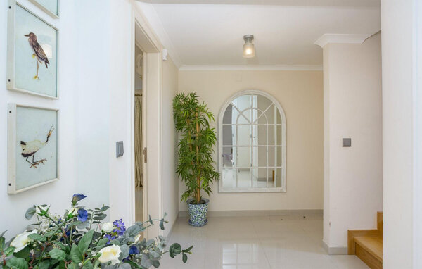 Kuća-za-odmor - Quinta do Lago , Portugal - PTS217 921