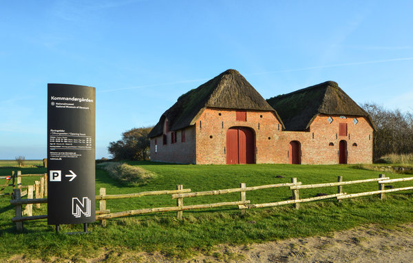 Ferienhaus - Bolilmark , Dänemark - R10010 909