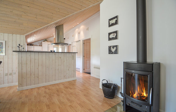 Ferienhaus - Bolilmark , Dänemark - R10010 301
