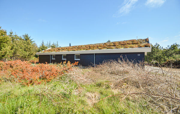Ferienhaus - Bolilmark , Dänemark - R10010 81